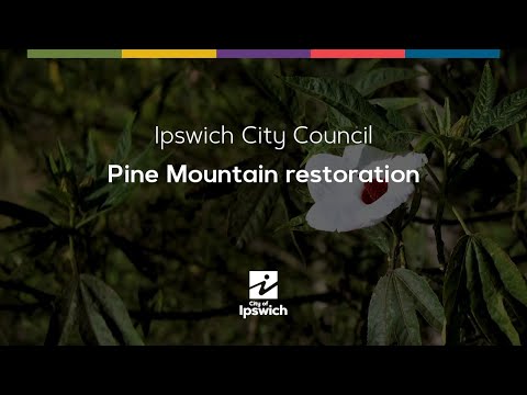 Pine Mountain Restoration