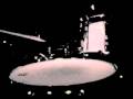 Celebration-Fly the Fly