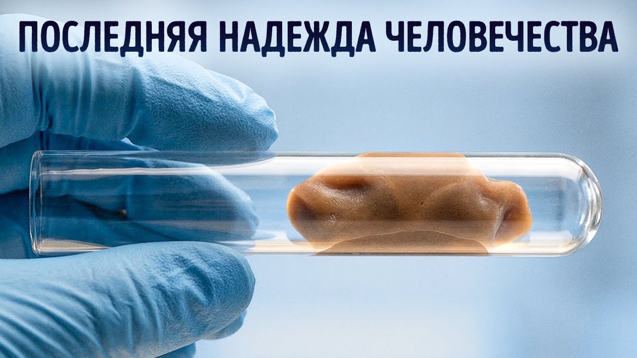 Почему ученые хотят собрать 10 000 образцов кала к 2029 году