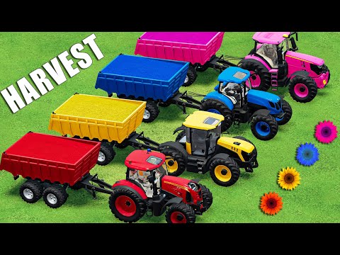 TRACTORS WITH COLOR! HARVEST SUNFLOWER WITH JCB FASTRAC & CLAAS & JOHN DEERE TRACTORS - FS22