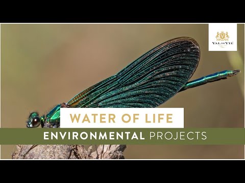 Water of life | Environmental Projects on Val de Vie Estate
