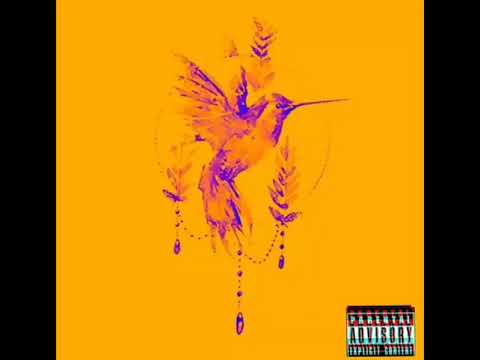 SKIZZO ESSE - colibrì
