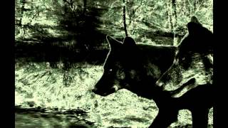 Barker &amp; Baumecker - Trans_it