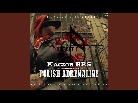 Polish Adrenaline (feat. Major SPZ)