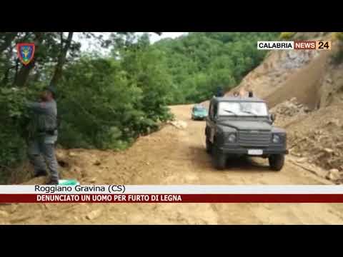 ROGGIANO GRAVINA: DENUNCIATO UN UOMO PER FURTO DI LEGNA