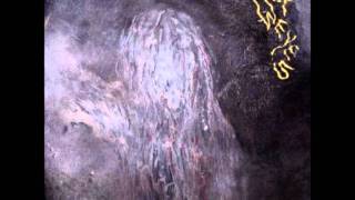 Wolf Eyes - The Driller