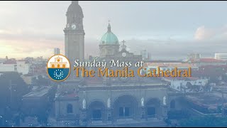 Download lagu Sunday Mass at the Manila Cathedral - November 6, 2022 mp3 Download lagu Sunday Mass at the Manila Cathedral - November 6, 2022 mp3