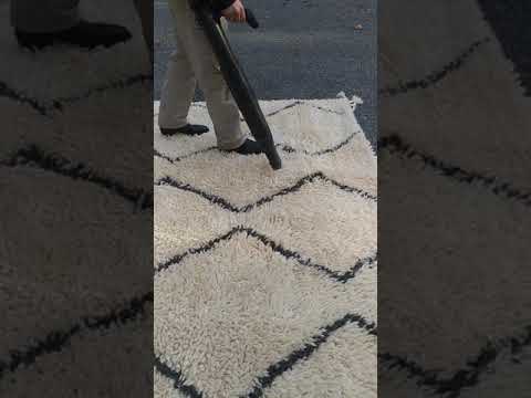 We Don't Just Clean Oriental Rugs!