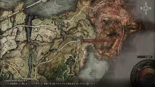 【ELDEN RING】何度でもエルデの王になる。2キャラ目、純魔