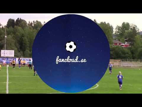 MATCH: IF Nyedshov - Gunnarskog IK