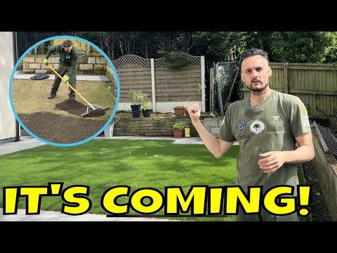 How to look after your LAWN when it starts growing properly.