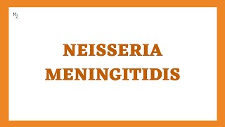 Neisseria Meningitidis or Meningococcus (Gram Negative Coccus) | Med Zukhruf