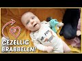 DEZE GELUiDJES KAN LUCiUS DE HELE DAG MAKEN! ? | Bellinga Vlog #2261