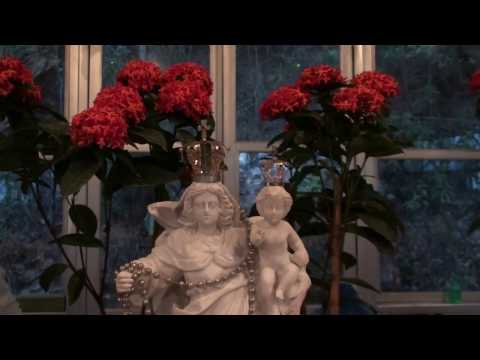 DO INFINITO DO ASTRAL - FLOR DE JAGUBE - GERMANO 30