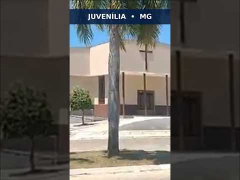 Juvenília – MG | Conheça a cidade em 1 minuto 🇧🇷 #Shorts