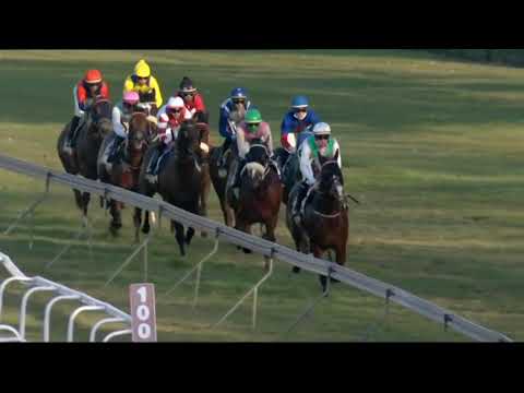 2021.07.31 Champions Cup (RSA) - Jet Dark