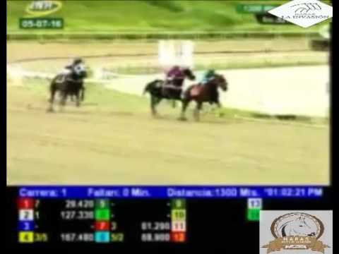 LA RINCONADA 1 CARRERA, MARTES 05 DE JULIO DEL 2016