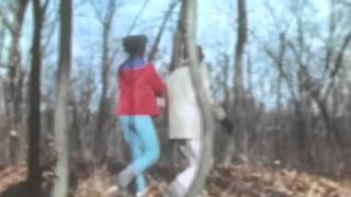 Flamin' Groovies - When I heard your name