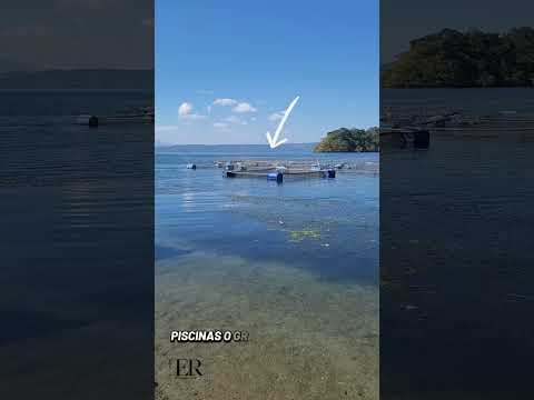 Playa Poza Verde. San Miguel Tepezontes. La Paz Centro. El Salvador C.A.  #playapozaverde 