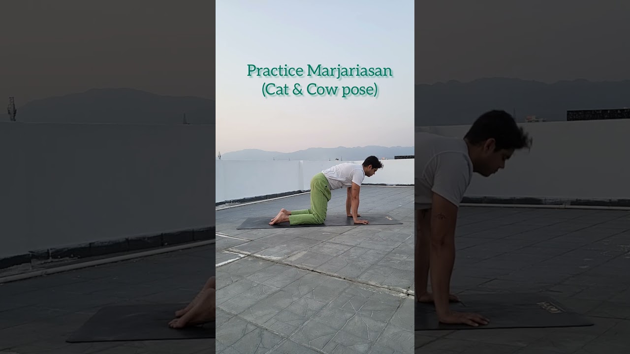 Stretches for Lower Back pain | Nishant Upadhyay | Yogiwithguitar #lowerbackpain #stretches