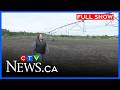 Thieves Are Targeting Farmers For This Valuable Metal CTV Your Morning Winnipeg For June 8 2026