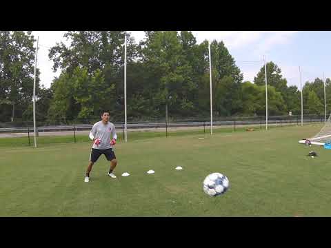 Brilliant Pro Goalkeeper Tennis Ball Session