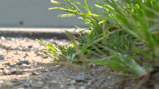 Dial-A-Song: I Wasn&#39;t Listening - They Might Be Giants 2014