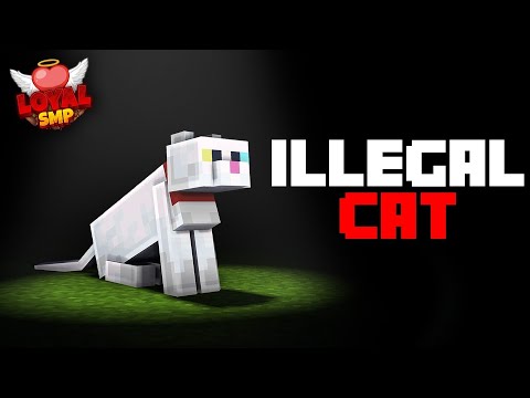 Ausan Gaming - How I Ruined This Minecraft SMP With a Cat | Loyal Smp |