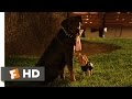 Legally Blonde 2 (8/11) Movie CLIP - Gay Dogs (2003) HD