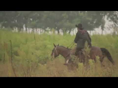Joe Versus The Volcano - Cowboy Song - Misc…