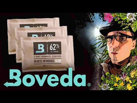 BOVEDA hält die Kräuter schön! Review - Tutorial