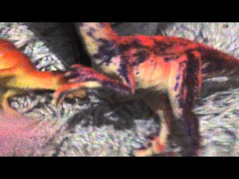 Lif av prieks torik manstrs