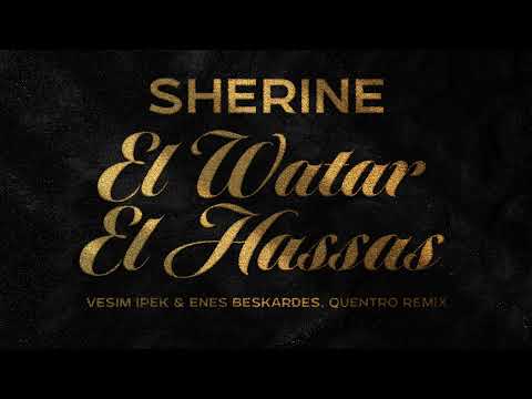 Vesim Ipek and 2 more