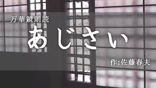【朗読】『あじさい』作：佐藤春夫