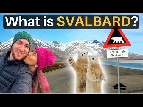 1st YouTube video about are there polar bears in norway