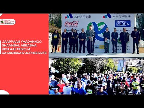 Jaappaan Yaadannoo Shaambal Abbabaa Biqilaaf fiigicha daandiirraa qopheessite.