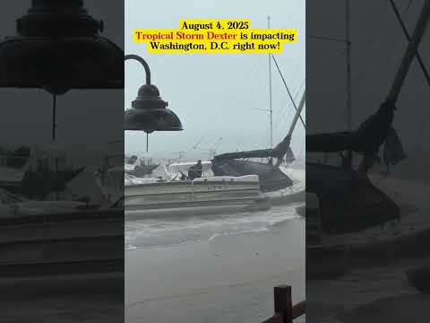 August 4, 2025   Tropical Storm Dexter is impacting Washington, D C  right now! #hurricane #tropical