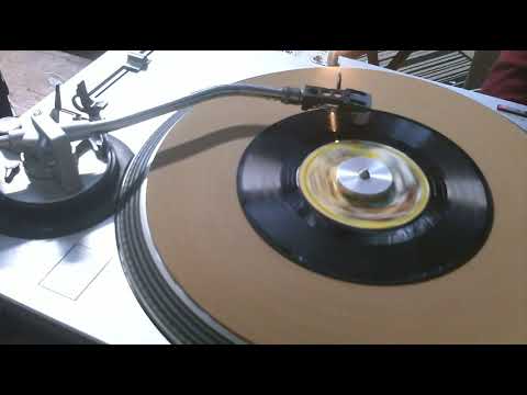 The Streak   Ray Stevens   1974   Styrene