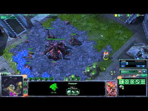 DIMAGA(Z) vs. BratOK(T) 1/2