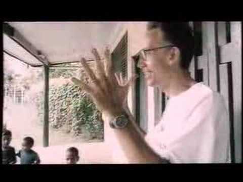 REEL PARADISE trailer