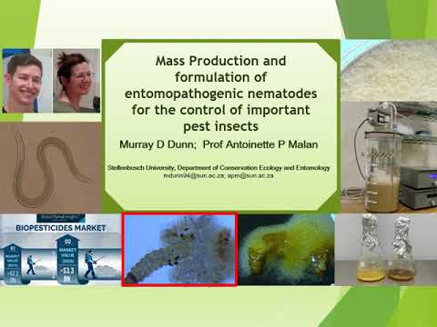 Beneficial Nematodes Biopesticide