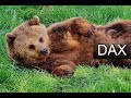 Dax Analyse 03 04 2025