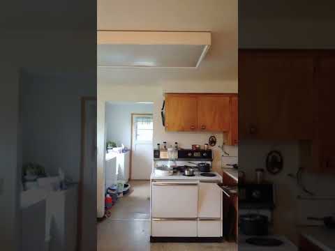 Mustache Man Enjoys House Sitting Too Well? #crazy #hair