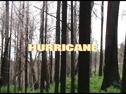 Video thumbnail for Hurricane