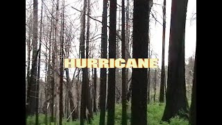 Download lagu Wafia - Hurricane mp3 Download lagu Wafia - Hurricane mp3