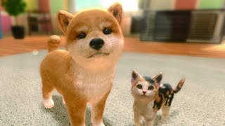 Nintendogs for Switch | Little Friends Dogs and Cats
