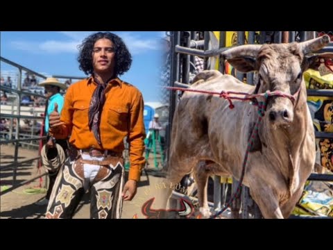 SIGUE INVICTO‼️ IVÁN EL TERRIBLE VS EL TORO DEL MILLION EL G63 DE RANCHO EL AGUAJE 🔥 GIRA 2024