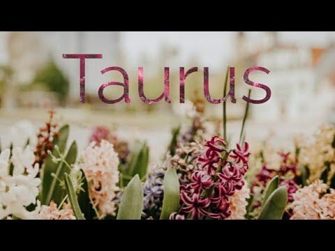 Taurus Don't Rush!!! You Have Time - May 16 - 22