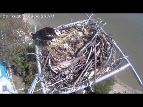 OspreyPinksh03/10/16 09:50 No brakfast but fight club