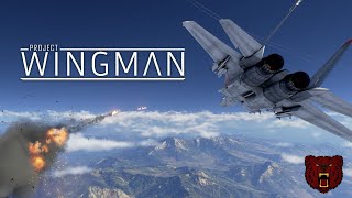 A Mighty Review of Project Wingman